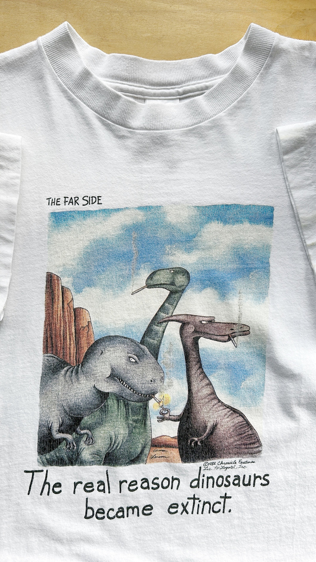 Far Side Tee